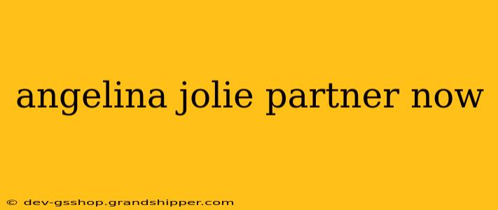 angelina jolie partner now