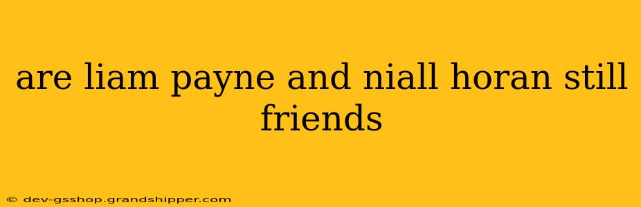 are liam payne and niall horan still friends