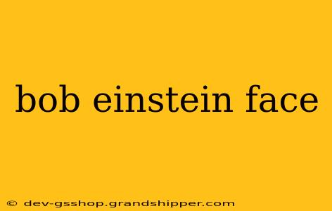 bob einstein face