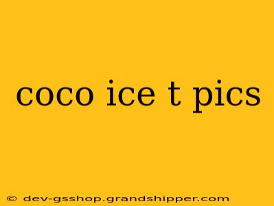 coco ice t pics