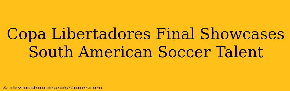 Copa Libertadores Final Showcases South American Soccer Talent