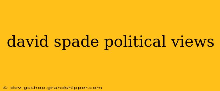 david spade political views