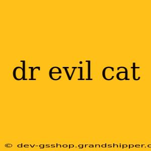 dr evil cat