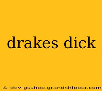 drakes dick