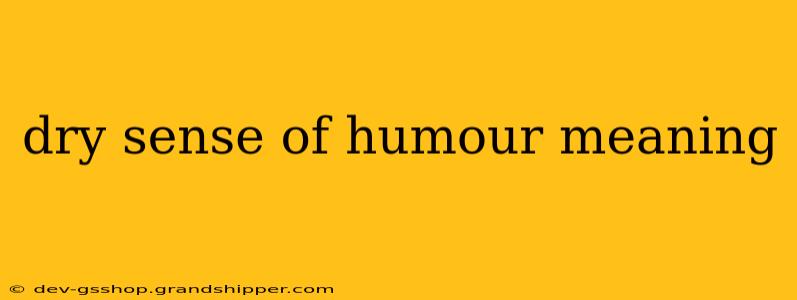 dry sense of humour meaning