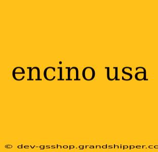 encino usa