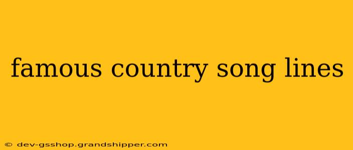 famous country song lines