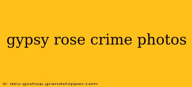 gypsy rose crime photos