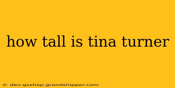 how tall is tina turner