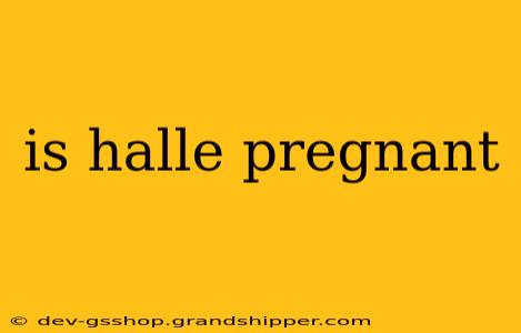 is halle pregnant