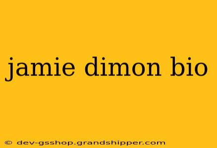 jamie dimon bio