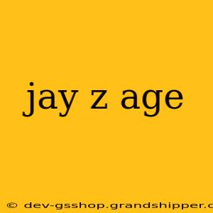 jay z age