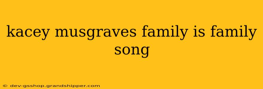 kacey musgraves family is family song