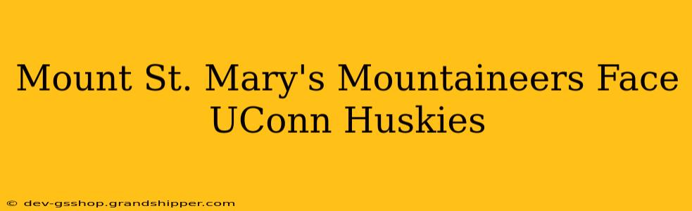 Mount St. Mary's Mountaineers Face UConn Huskies