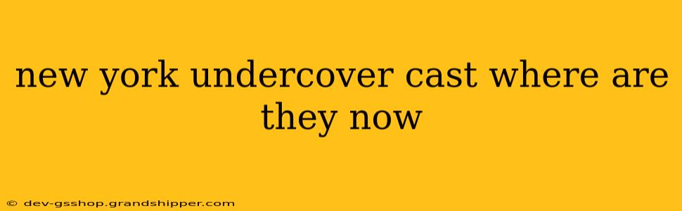 new york undercover cast where are they now