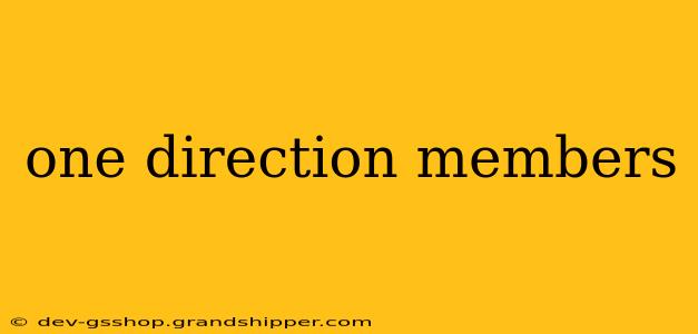 one direction members