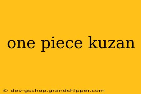 one piece kuzan