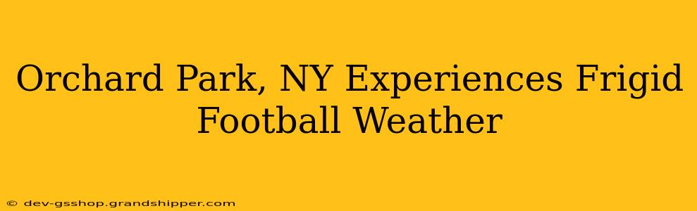 Orchard Park, NY Experiences Frigid Football Weather