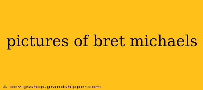 pictures of bret michaels