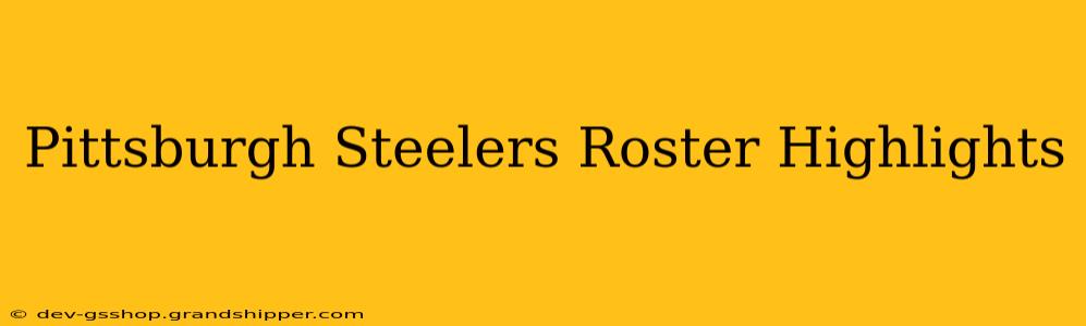 Pittsburgh Steelers Roster Highlights