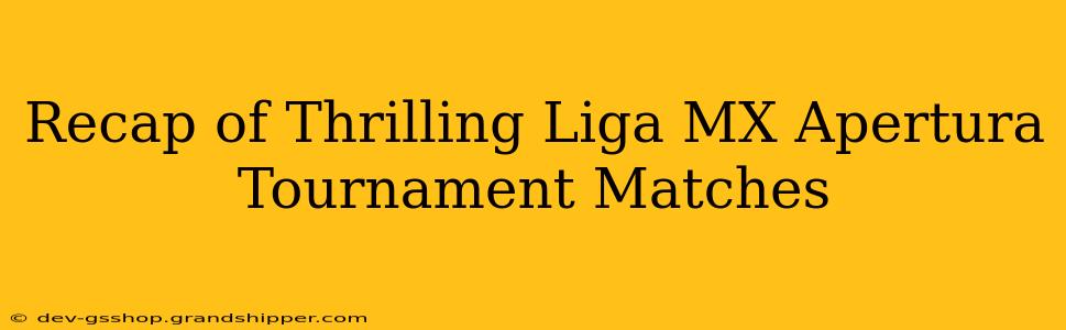 Recap of Thrilling Liga MX Apertura Tournament Matches