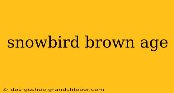 snowbird brown age