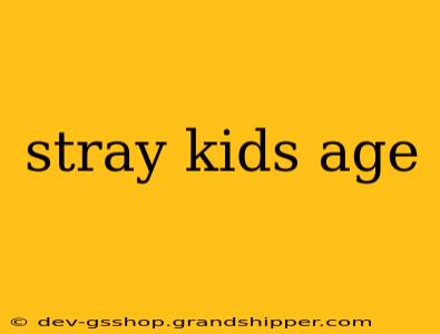 stray kids age