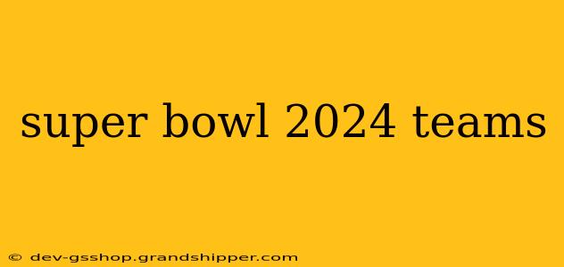 super bowl 2024 teams