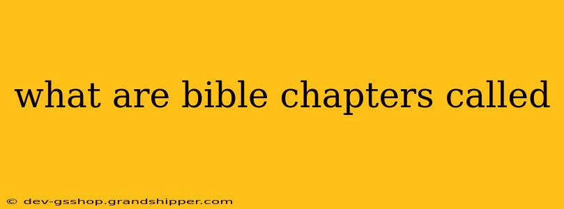 what are bible chapters called