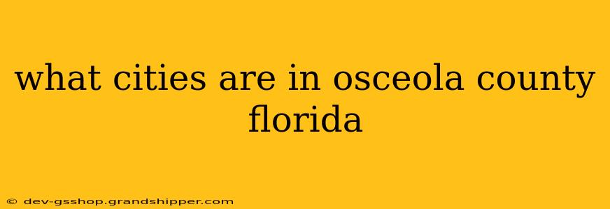 what cities are in osceola county florida