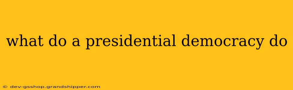 what do a presidential democracy do