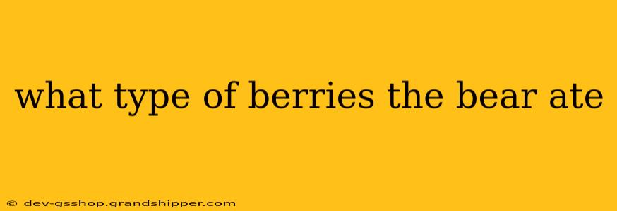 what type of berries the bear ate